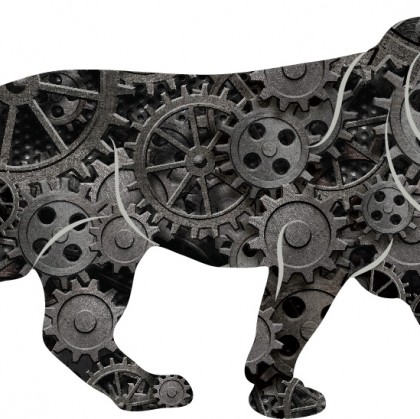 Make In India 
Webkraft Solutions